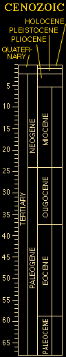 Cenozoic